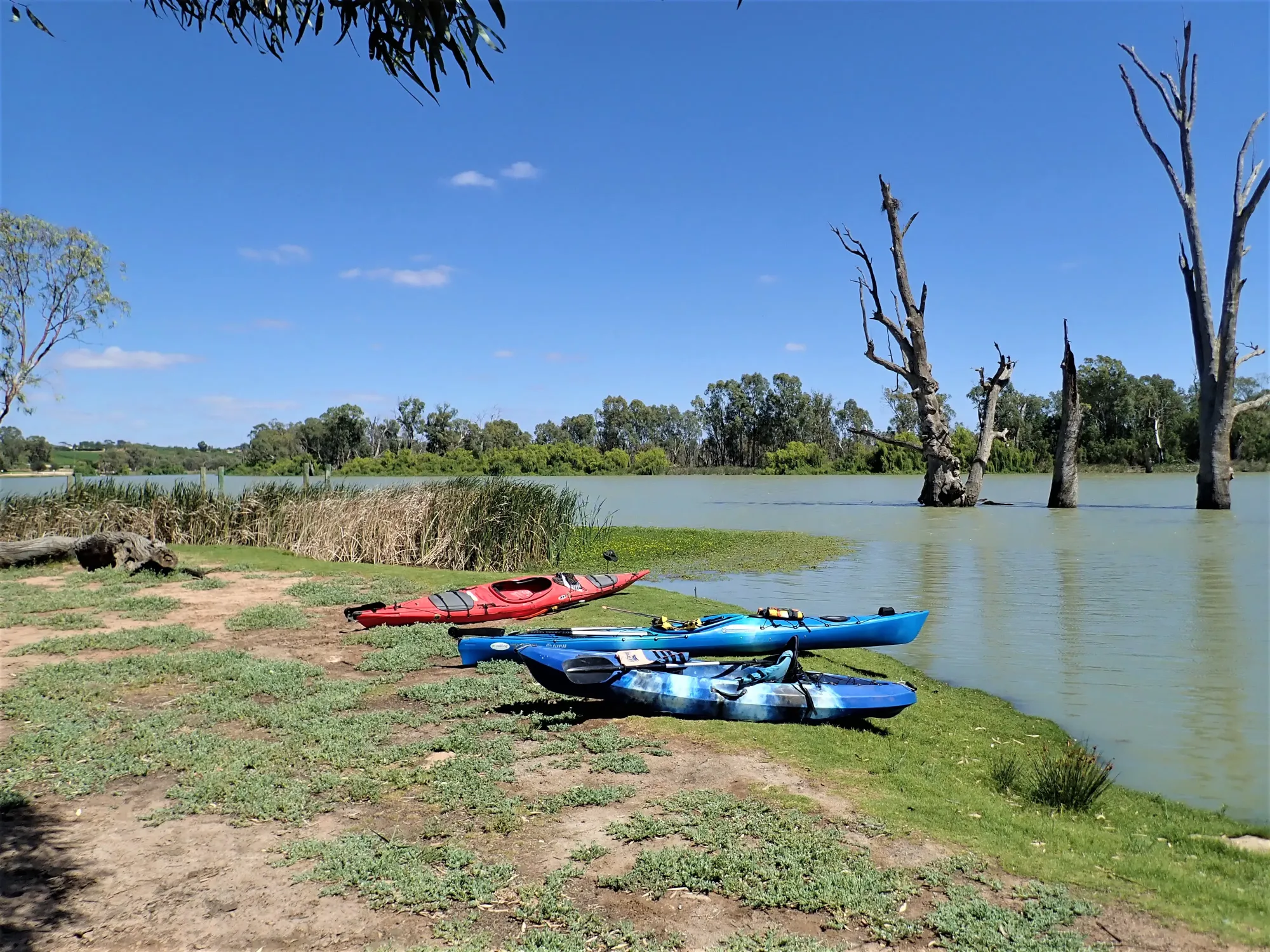 Canoe launch at the Kingston on Murray Caravan Park. Photo courtesy: Eddie Andriessen