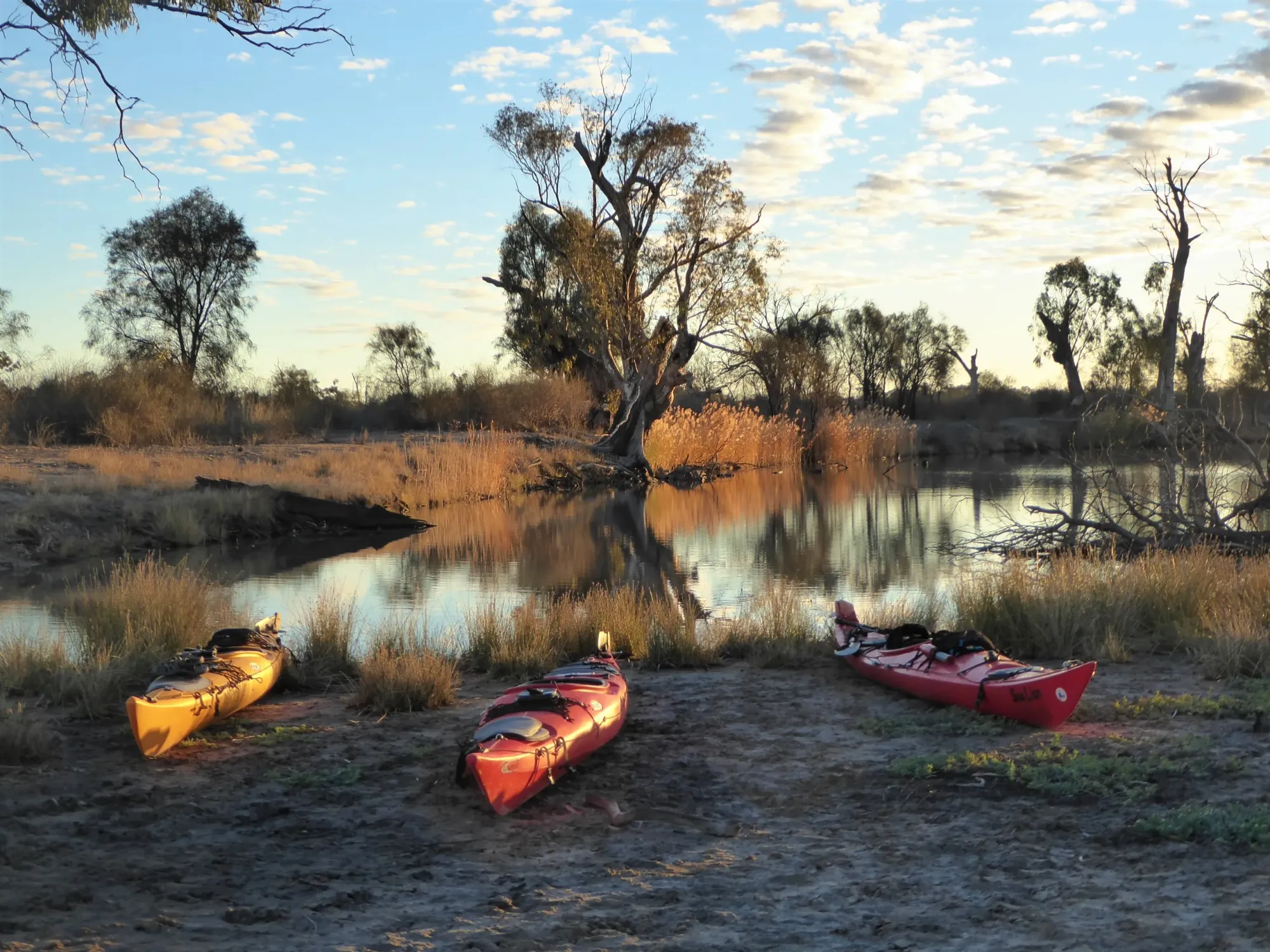 Golden evening light over the Pike River wetlands. Photo courtesy: Meredith Blesing
