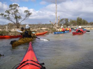 Kayak Paddling group Paddling Trails South Australia