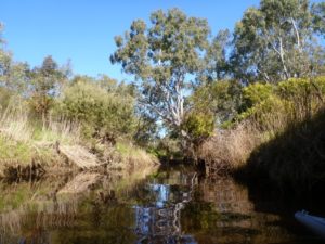 Inman-River-photo-courtesy-Libby-Richardson_43