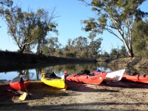 Kayaks Chowilla Paddling Trails South Australia