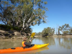 Paddling Katarapko Paddling Trails South Australia