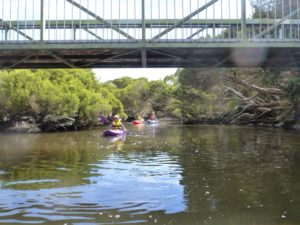 Paddlers-on-Hindmarsh-River-photo-courtesy-Libby-Richardson_32