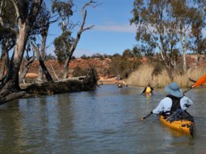 Returning to launch site Paddling Trails South Australia