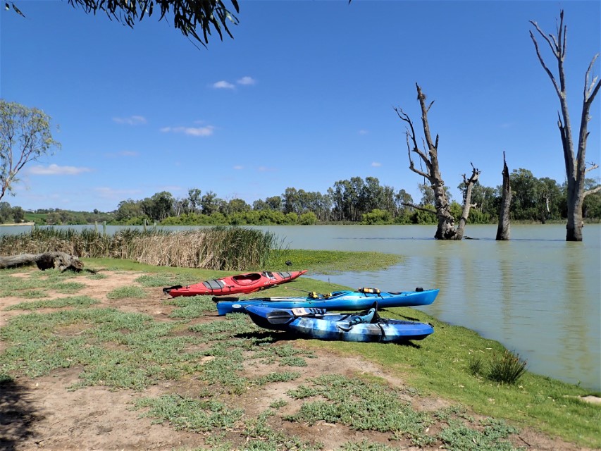 Kingston on Murray Caravan Park canoe launch Paddling Trails South Australia